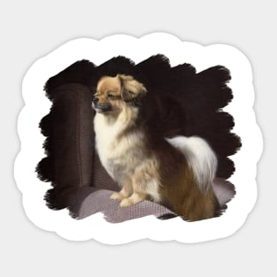 Tibetan Spaniel Painting Sticker